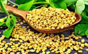 Cloves Fenugreek Seed